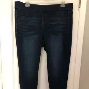 Lane Bryant High Rise Jeggings - Dark Wash